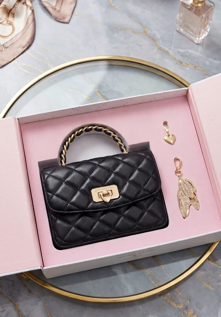 Charles & Keith Style Quilted Mini Handbag for Women– Black